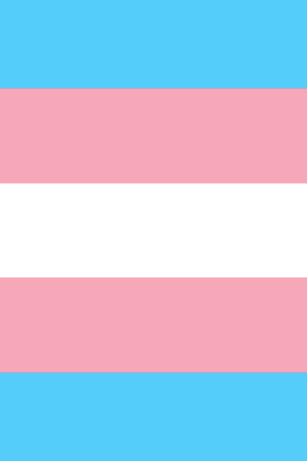 Transgender Pride Flag Notebook: Blank Transgender Flag Notebook, Journal for Transgender identity Pride, 120 Pages, 6"x9" Soft Cover, Matte Finish