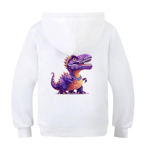Pull dinosaure capuche garçons filles sweat imprimé 3D 11-13 ans