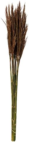 Vickerman Brown Plume Reed 36" Long Stem, Real Preserved Dried Floral Decor for Wedding, Home or Everyday Arrangements, 7-8 oz Bundle image 2