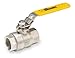 Stainless Steel Ball Valve Inline 1"
