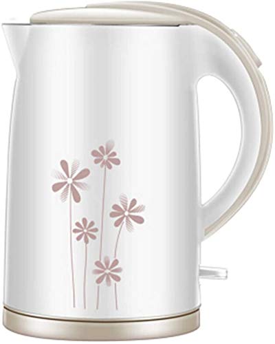 Bouilloire électrique eau chaude ébullition rapide 1,7 L inox