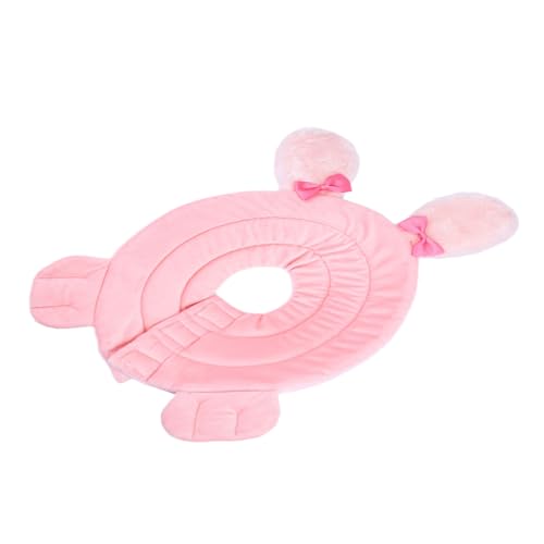 Collier de guérison pour blessures de chat lors du retour à la maison - 2