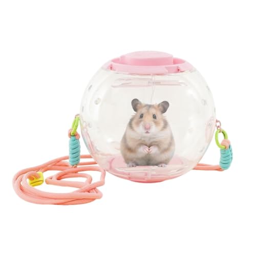 Bola de ejercicio grande y transparente de 25cm para cobayas y erizos 2