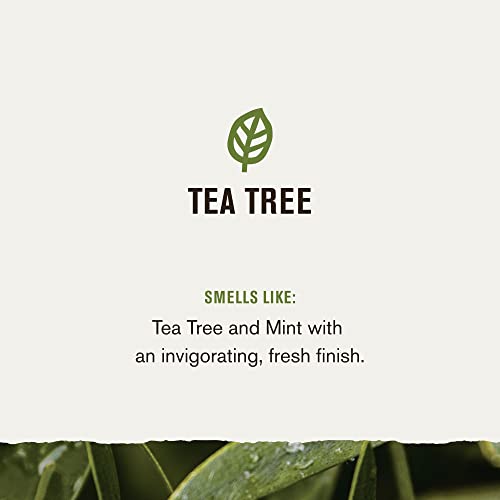 Every Man Jack 878639012141 2-In-1 Tea Tree + Cedar Shampoo + Conditioner thumb #2