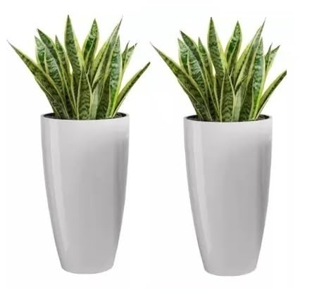 See full amazon price history chart for VIRKART Plastic Tower Pot 14 inch Flower Pots for Home Office Garden Balcony Plant Container Set (WHITE) VIRKART Plastic Tower Pot 14 inch Flower Pots for Home Office Garden Balcony Plant Container Set (WHITE) (B0CZTWRMYR) Amazon Price History, Amazon Price Tracker