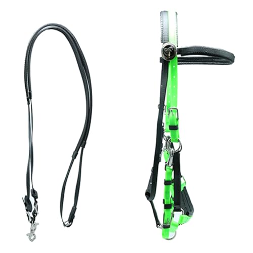 Licol pour chevaux synthétique et laiton fini les boucles rouillées en concours
