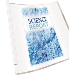 Avery Clear Report Covers With Sliding Bars, White Binding Bars, Holds Up To 20 Sheets, 50 Report Covers (47710) #TOP4