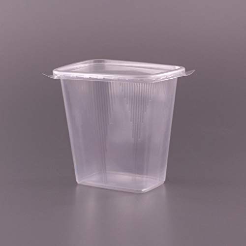 Lot de 150 emballages pour salades à emporter restauration rapide en plastique jetables avec couvercles 500 ml