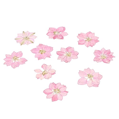 KALLORY Stickers Flores Secas 20 pz Decoración DIY miniatura 1