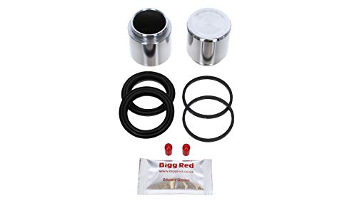 Bigg Red - Front Brake Caliper Repair Seal Kit and Pistons - Compatible with Panda, Uno, 125, 127, 128, X 1/9, Malaga, Marbella, Terra, Ronda, Ibiza, Lancia Y10, A 112