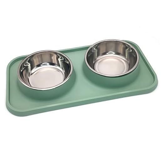 BNOSDM Double Dog Food Bowls Stainless Steel Dog Food and Water Bowls with Non-Spill Plastic Mat Pet Cat Feeder Bowl Set for Puppy Cats Kitten Small Medium Dogs Green
