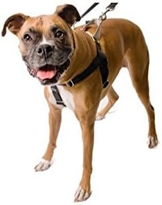2 hounds design freedom no pull dog harness & leash