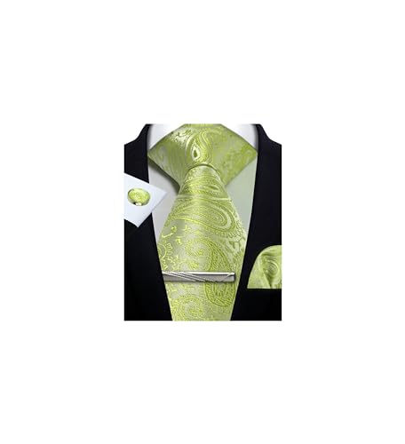 Image of Paisley Floral Mens Tie Formal Necktie Pocket Squares Ties Clips Cufflinks Classic for Men Set
