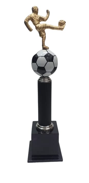 Rainy Forest Trophy for Party Celebration, Gift, Sport Academy, Awards for Teachers& Students Multicolour 421, 16 inch (B0994GX1SJ) Amazon Price History, Amazon Price Tracker