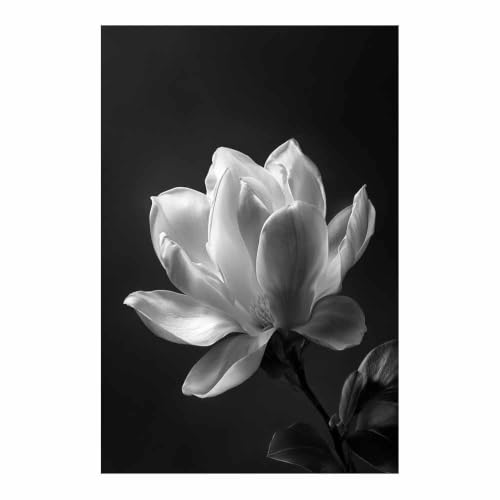 Affiche noir et blanc Magnolia gris pour decoration murale de salon 80x120cm