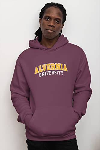 CreateMyTee Alvernia University Block Unisex Hooded Sweatshirt - Alvernia Golden Wolves Apparel2