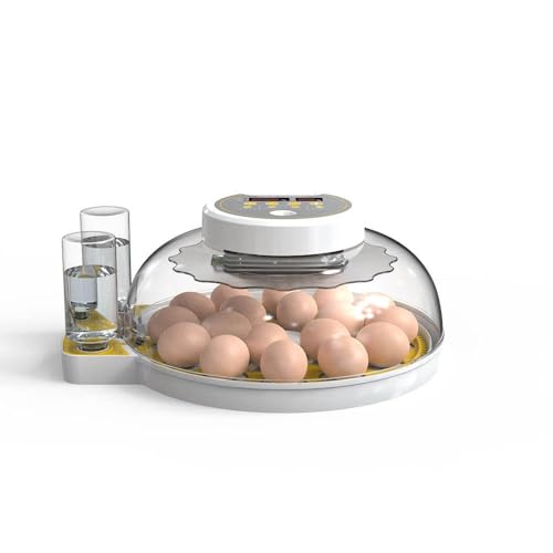 Incubadora de 18 huevos, giro automático y control de humedad con pantalla digital, temporizador de cuenta regresiva de día para incubar aves de corral