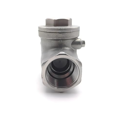 Válvula de retención horizontal 1 pulgada BSP para tuberías con rosca hembra 304ss 6