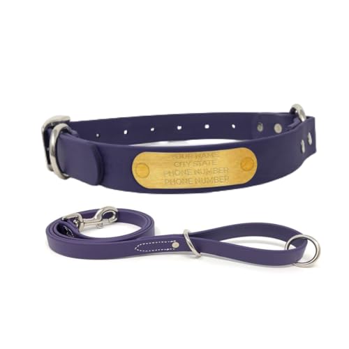 Regal Dog Products Large Purple with Custom Engraved Waterproof Dog Collar and Leash Set | Waterproof Dog Collar with D Ring | Center Ring & 5'ft Leash | Matching Dog Collar and Leash for Dogs