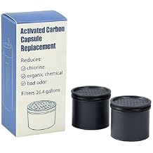 Nispira Carbon Water Filter Replacement Compatible with Lifestraw Go Series, Lifestraw Steel, Lifestraw Universal Water Bottle, 2 Packs