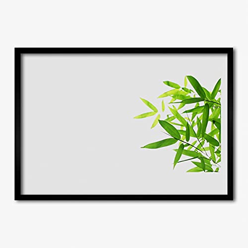 Image photo salon chambre cuisine Tulup affiche de plante verte