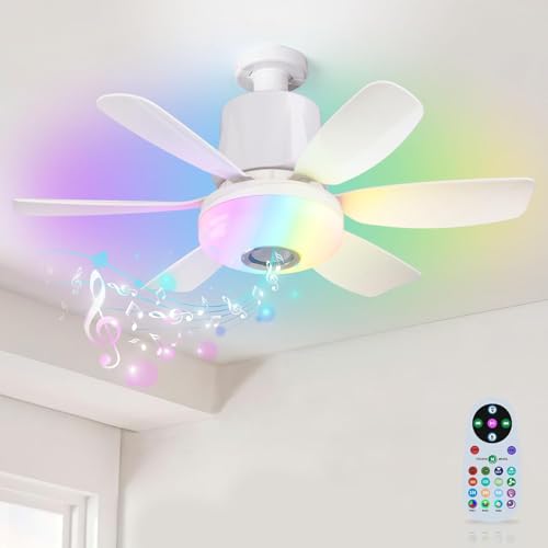 E27 Ventilatore da Soffitto con Luce e Bluetooth Altoparlante RGB Dimmerabile Plafoniera con Lampada e Telecomando RGB LED Lampada Illuminazione Silenzioso Piccolo Fan per Soggiorno Camera Bambini
