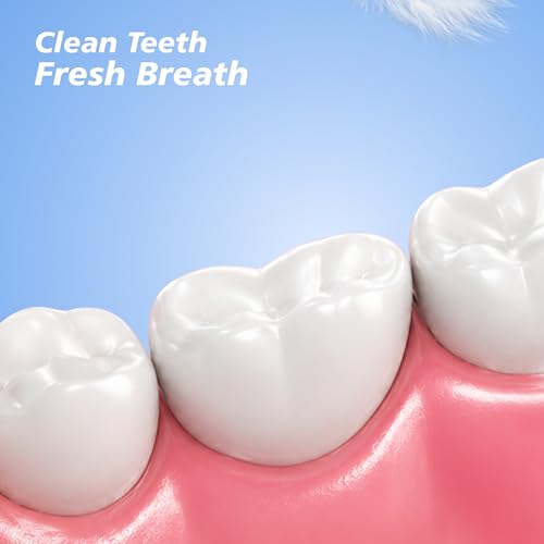 Image of Enshine Expert Protection Toothbrush for Adults, Pack of 4, Multicolor | Double-Tapered Ultra Soft PBT Bristles, Sensitive Gums, Deep Gum-Line Plaque Removal, Non-Slip Grip
