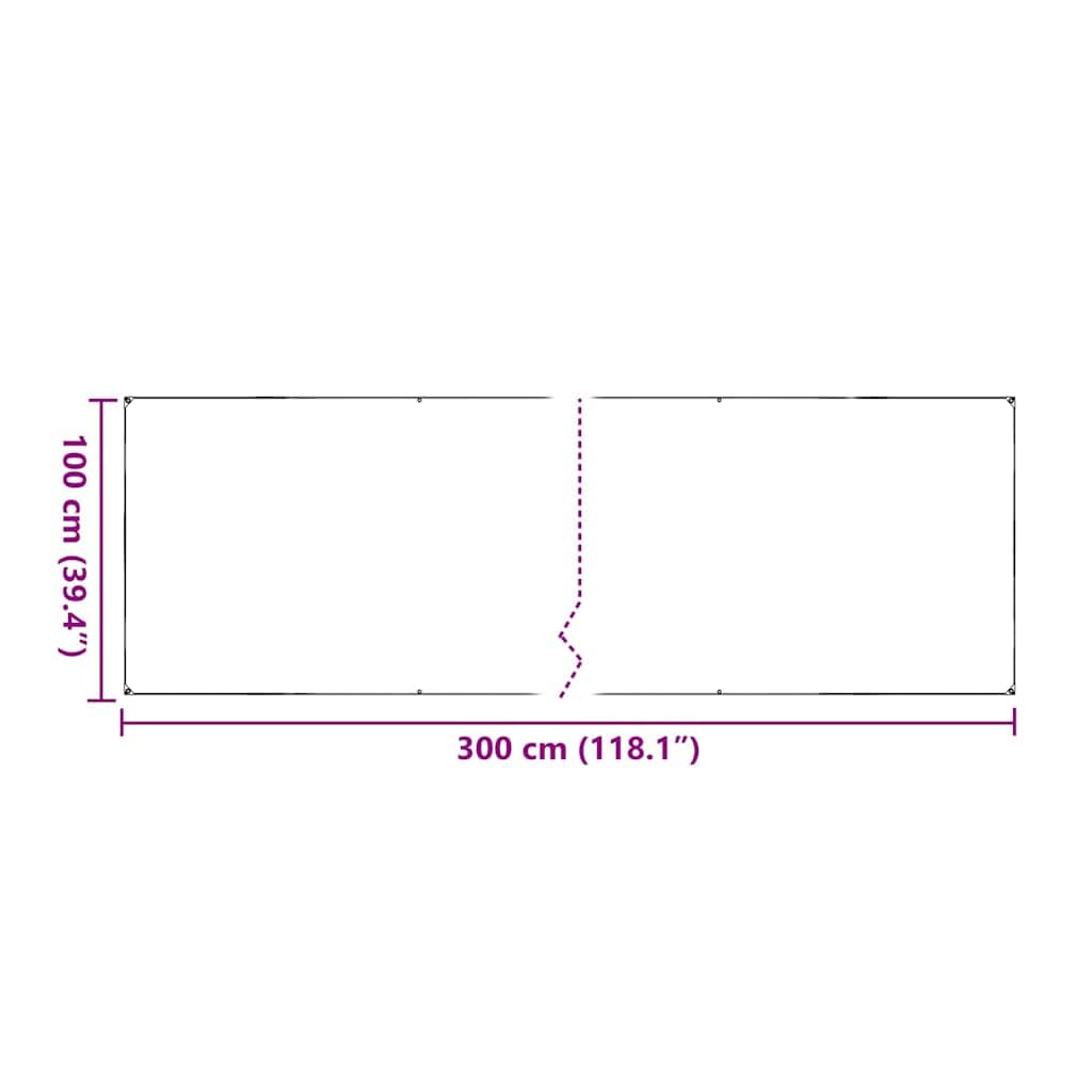Transparente PVC Plane mit Ösen 1 x 3 m, Abdeckplane für Gartenmöbel und Brennholz, wasserfest und reißfest als Schutzplane für Outdoor, Regen und Staub