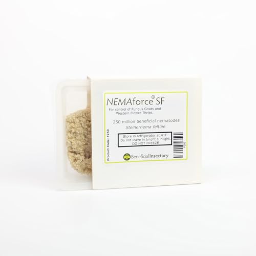 Beneficial Insectary Beneficial Nematodes Sf/Sc Dual Species Blend 1 Million - Organic Broad Spectrum Pest Control, Ready-to-Use Sponge