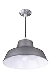 Canarm BL14CL All Weather 1-Bulb Suspended Mount All Weather Light, Grey