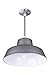 Canarm BL14CL All Weather 1-Bulb Suspended Mount All Weather Light, Grey