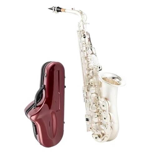 vtFbVi؊ǃTbNX ⃁bL̊yƃ}EXs[XEtbgL[̃vtFbViAgTbNX