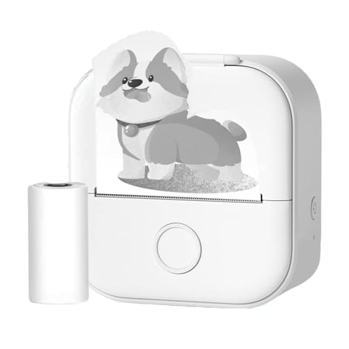 Stampante adesivi - Piccola stampante termica tascabile portatile per elenchi di apprendimento Foto e note di Doodle fai da te fotografica wireless