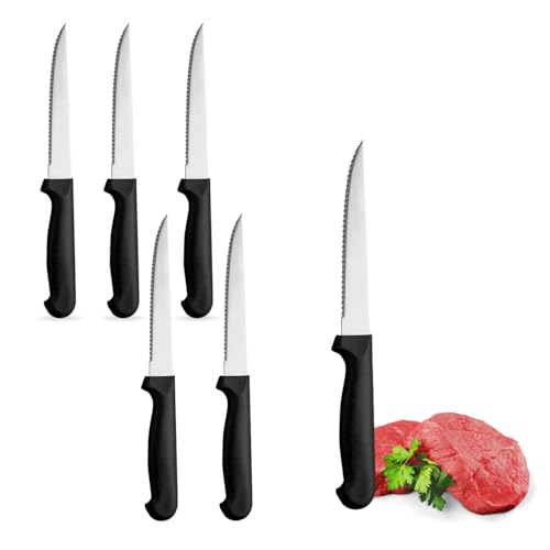 PALUPLUS Set 6 Coltelli da Carne a PUNTA in Acciaio Inox, Lunghezza 21 cm, Lama Seghettata e Temprata, Impugnatura Ergonomica, Coltelli da tavola per Bistecca e Pizza, Made Italy -997
