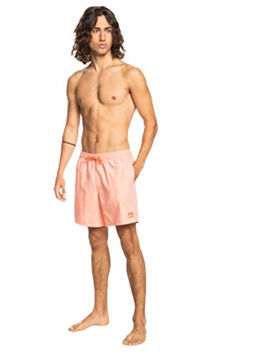 Quiksilver Men's Standard Everyday 17 Volley Swim Trunk Bathing Suit4