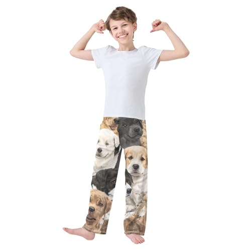 ZZXXB Cartoon Puppy Dog Boys Long Pants Soft Trousers Elastic Waist Kids Lounge Bottoms with Pockets S-XL3