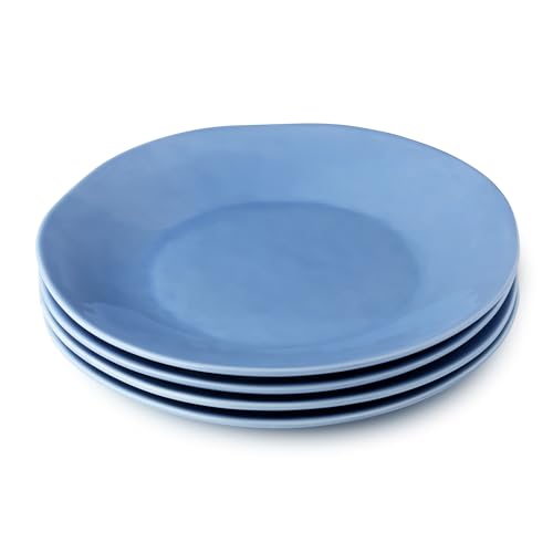 Cloudy Sky Stoneware Dinner Plates 11" – Blue-Gray Marbled Glaze for Serving Roasts, Pasta, Seafood & More – Durable Stoneware Plates for Everyday Dining, Entertaining & Special Occasions