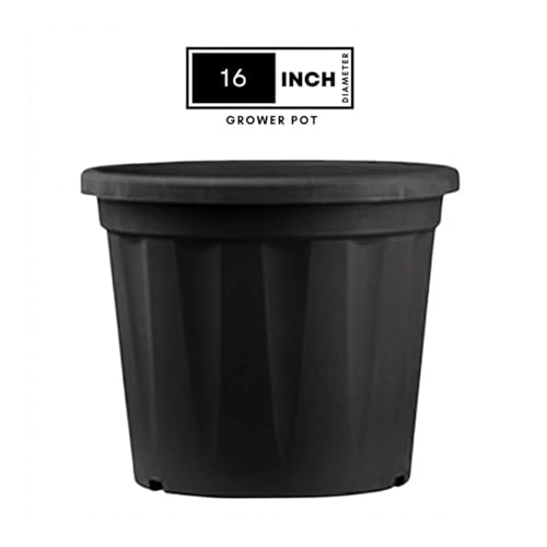 Image of 16 Inch Heavy Duty Plastic Planter | Grower Pot /Garden Pot for Home & Garden (Black) (Pack of 2)