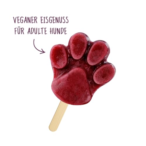 Bosch Freshe Schnauze - Aktionspaket Frucht | Hundeeis | 4 x 200 g + GRATIS Eisform für Hundeeis | Topping für Hundefutter | Für Trockenfutter und Nassfutter | mit frischen Äpfeln, Birnen & Blaubeeren
