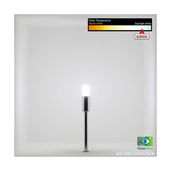 JAUHOFOGEI G9 LED Lampen Kaltweiss, 3w LED Leuchtmittel ersatz 28W 33W 40W Halogen Birne, Glühbirne G9 230V, nicht… – Bild 5