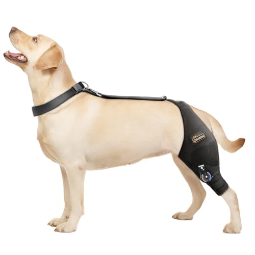CHAMIN Adjustable Dog Knee Brace for Torn ACL Hind Leg, Support for Tear Ligament, Osteoarthritis, Rear Leg Limp, Recovery After Surgery,et(Left Leg,L)