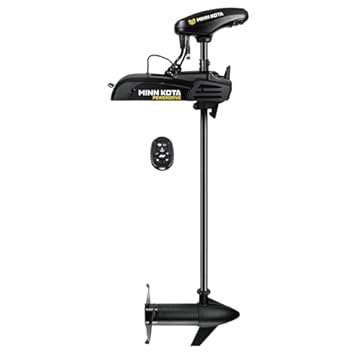 dual trolling motor setup