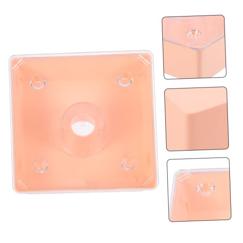 Mipcase 1 Conjunto De Bebedouro De Abelha Alimentadores De Beija-Flor De Plástico Dispensador De Águ