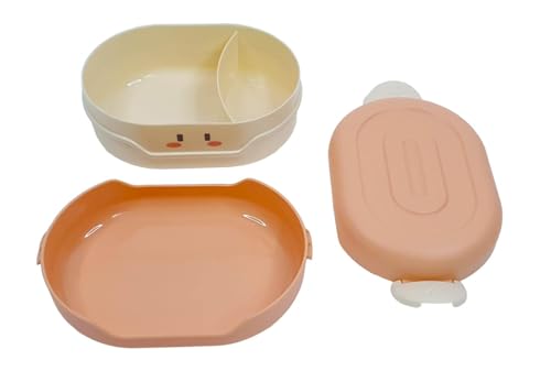 Image of Vibgyor Vibes Modern Design 2 Compartment Lunch Box for School Kids Girls and boys and for Men and women in Offices (Multicolor)
