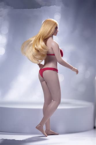 Figurine d'action 1/12 AMITD modèle de collection premium T05B - 3