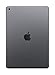 Apple iPad (10.2-inch, Wi-Fi, 32GB) - Space Gray (Latest Model)