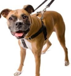 5/8" SM Silver Freedom No-Pull Harness ONLY- Direct from Inventor