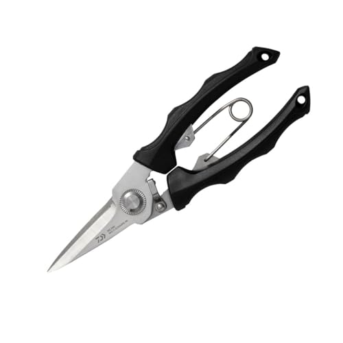 【速達サービス@7980】アミスター錦(覆輪斑) 31PSNzjiiGL.jpg