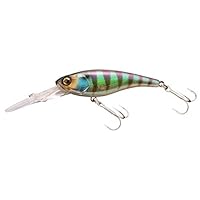 Amazon.co.jp: JACKALL(ジャッカル) シャッド ソウルシャッド DR SP