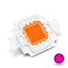 Chanzon High Power Led Chip 10W Full Spectrum Plant Grow Light (380nm-840nm / 900mA / DC 9V-11V / 10 Watt) SMD COB Emitter Diode Components 10 W Bead for DIY Hydroponic Flowers Growing Lamp